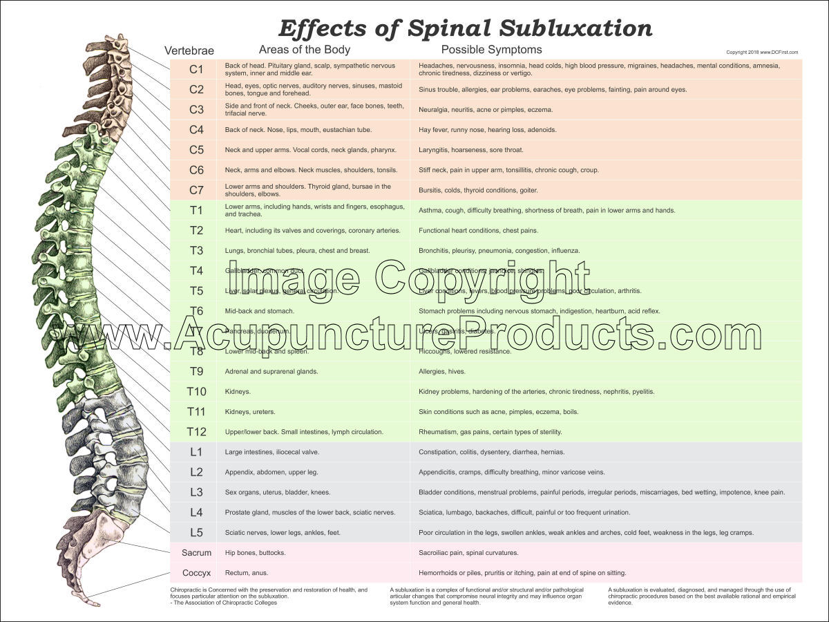 Vertebral Spinal Subluxation Symptoms Chart