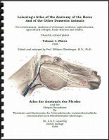 Horse Anatomy Atlas