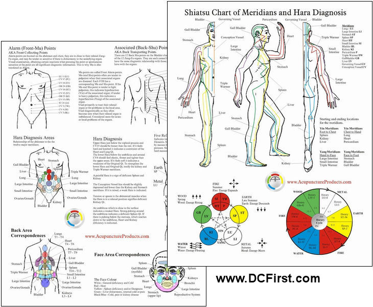 Shiatsu Chart