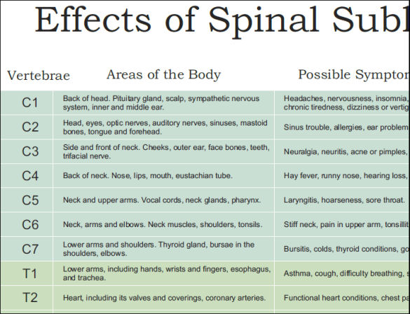 Ans And Effects Of Spinal Subluxation Poster 24 X 36 8004