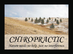 Chiropractic Quotes and Sayings Posters