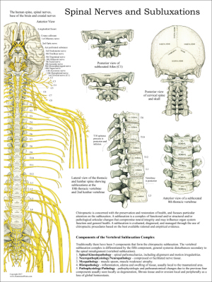 Chiropractic Charts and Posters